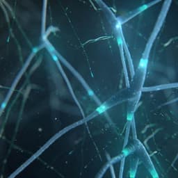 Motion Campaign For Lexus Is cover image