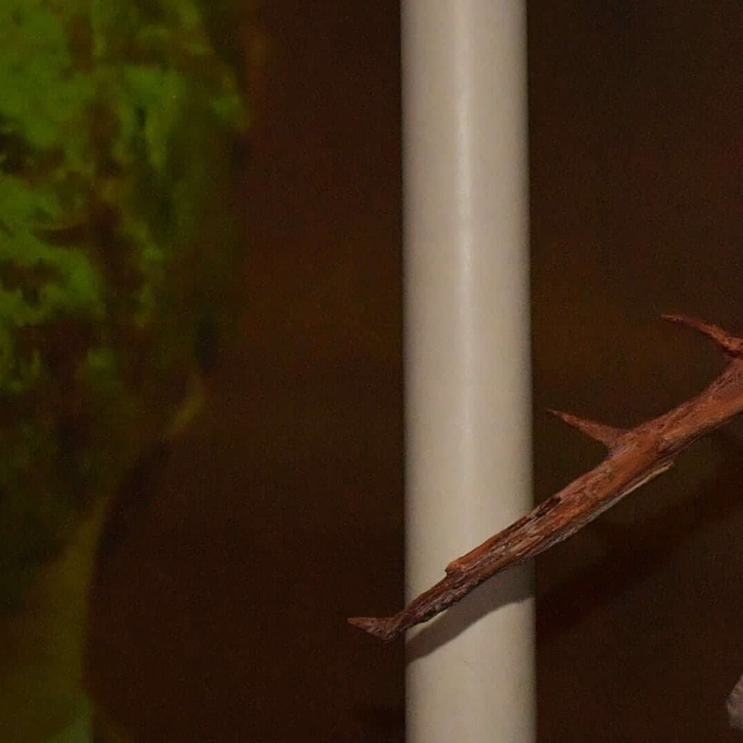 Visual Identity For Museum Of London's Night London Council Event