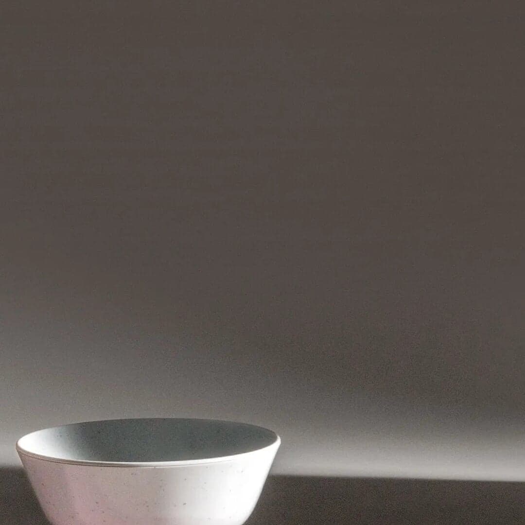 Brand Identity For Cat Person Pet Care Startup