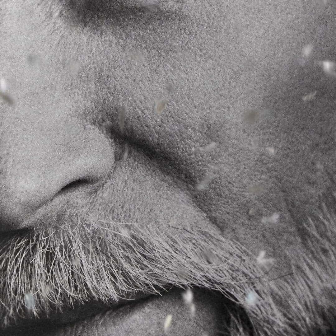 Book Launch Installation For Lars Wallin