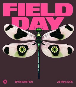 Reimagined Identity for Field Day Festival cover image