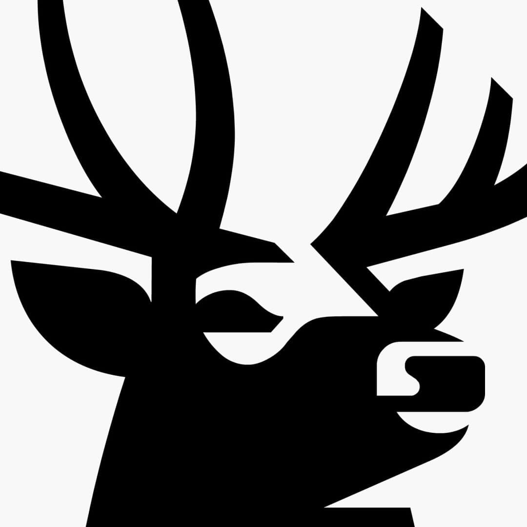 Brand Identity For Cass Art