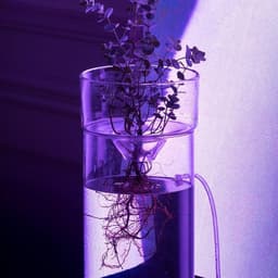 Digital Platform Design For Bloom Explore cover image