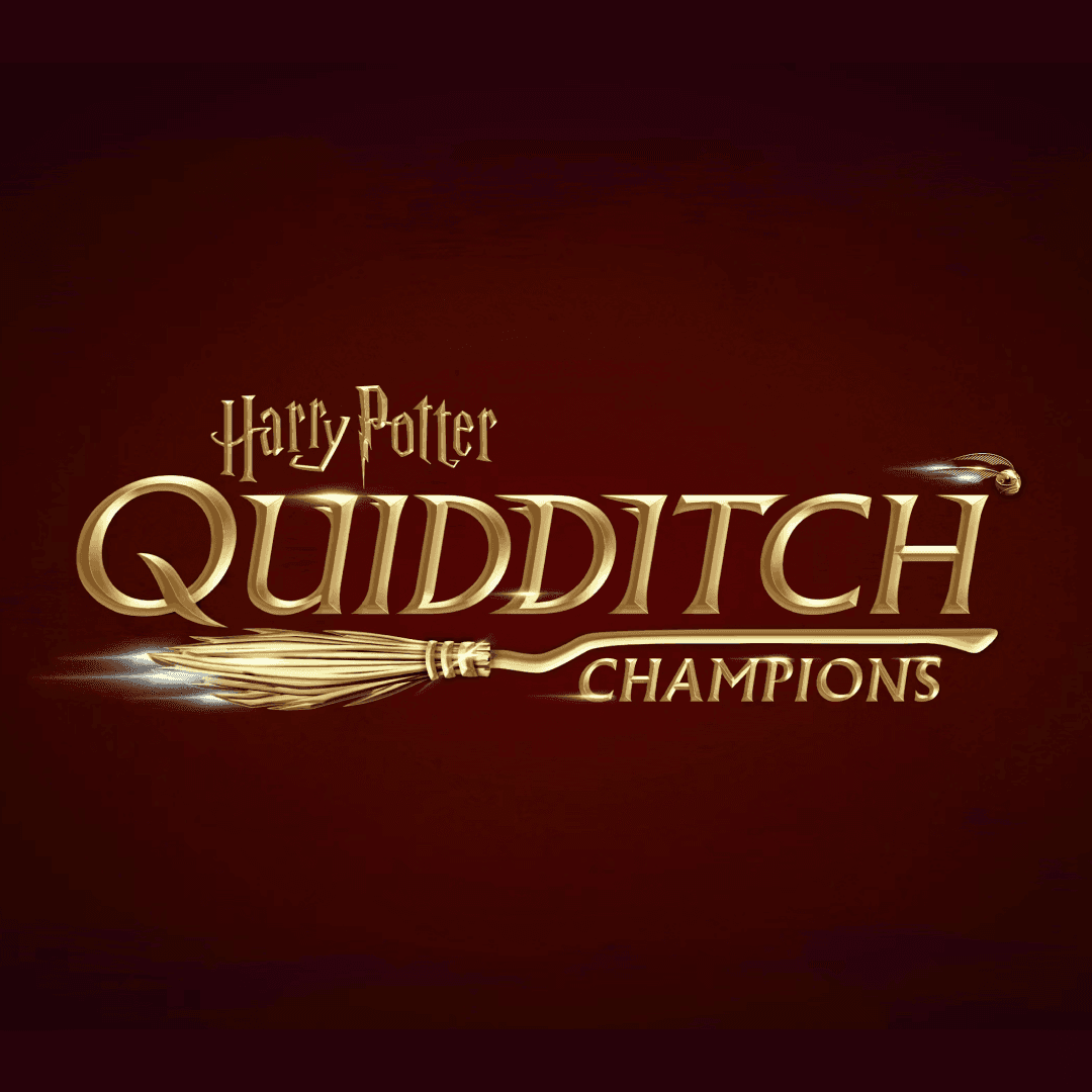 Brand Identity For Harry Potter: Quidditch Champions